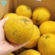 ���Ĥ���β����մ��ʤ�����Ф󤫤�� 4kg ȯ������4���6��