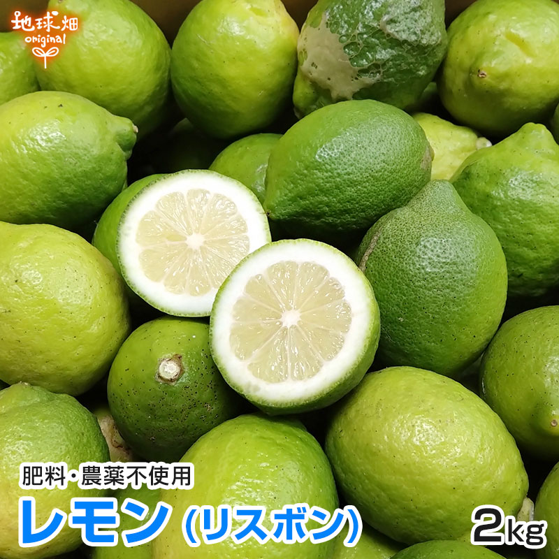 ����(�ꥹ�ܥ�) 2kg �����������Ի��� ȯ������10���1��