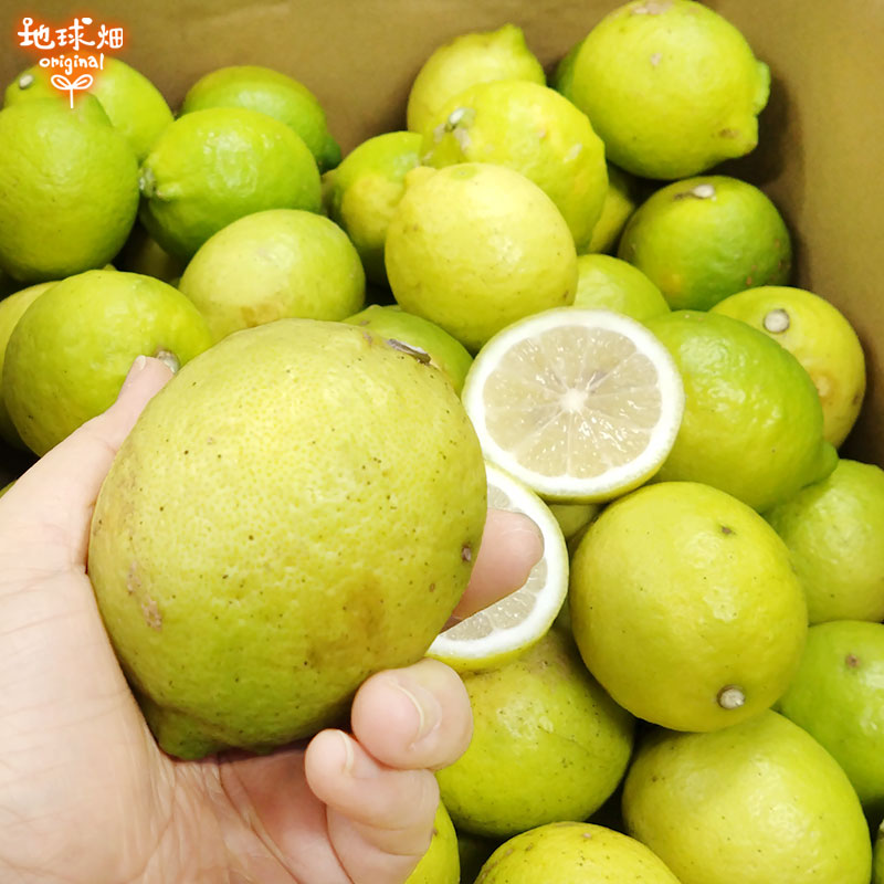 ����(�ꥹ�ܥ�) 2kg �����������Ի��� ȯ������10���1��