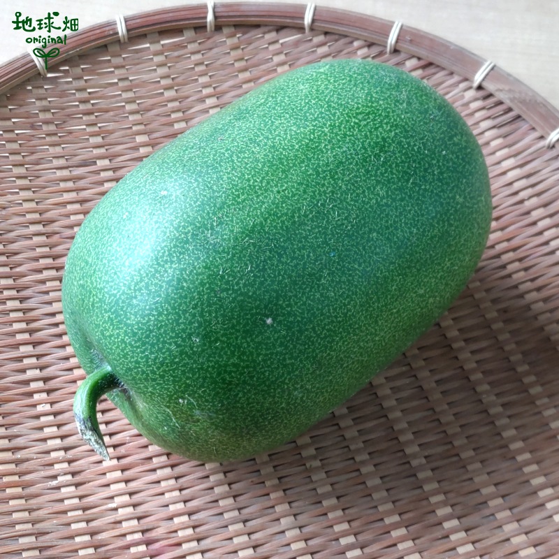 ɱ�Ȥ����� 1�� (1��2kg) �߱� ȯ������8��ܡ�11��