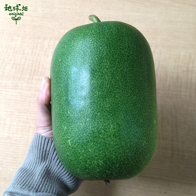 ɱ�Ȥ����� 1�� (1��2kg) �߱� ȯ������8��ܡ�11��