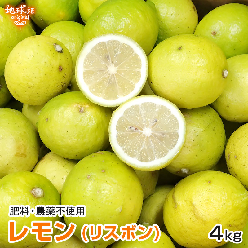 ����(�ꥹ�ܥ�) 4kg �����������Ի��� ȯ������10���1��