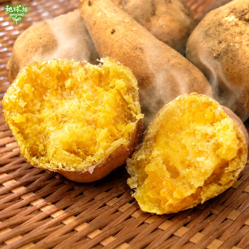 ��Ǽ���� ML (1��100��500g) 4kg 2026ǯ��