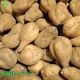 ��Ǽ���� ML (1��100��500g) 4kg 2026ǯ��
