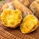 ��Ǽ���� ML (1��100��500g) 4kg 2026ǯ��