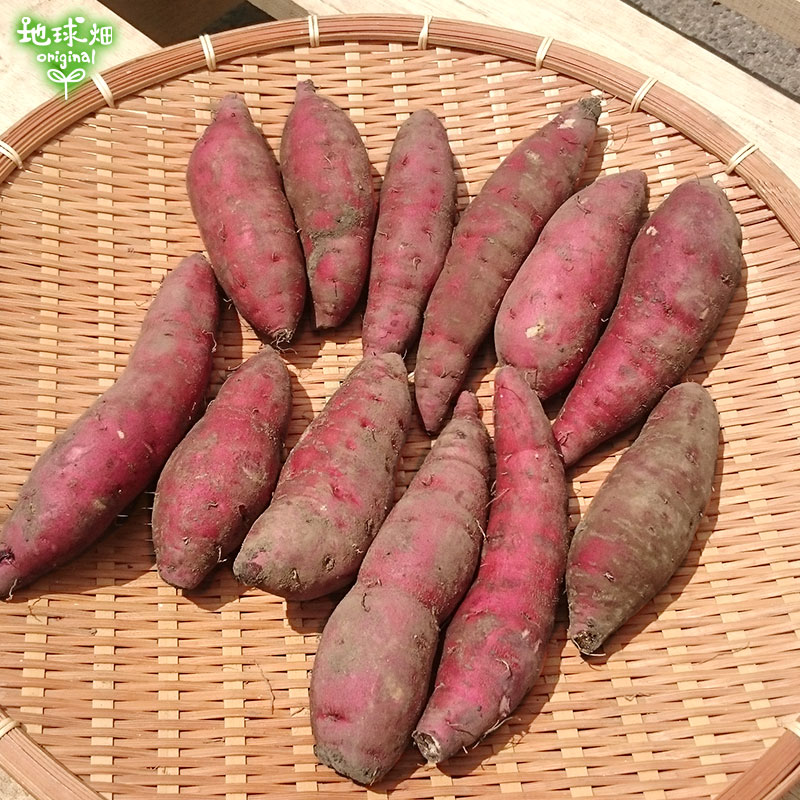 �ȤϤ뤫 S (1��100g̤��) 4kg ȯ������9���3��