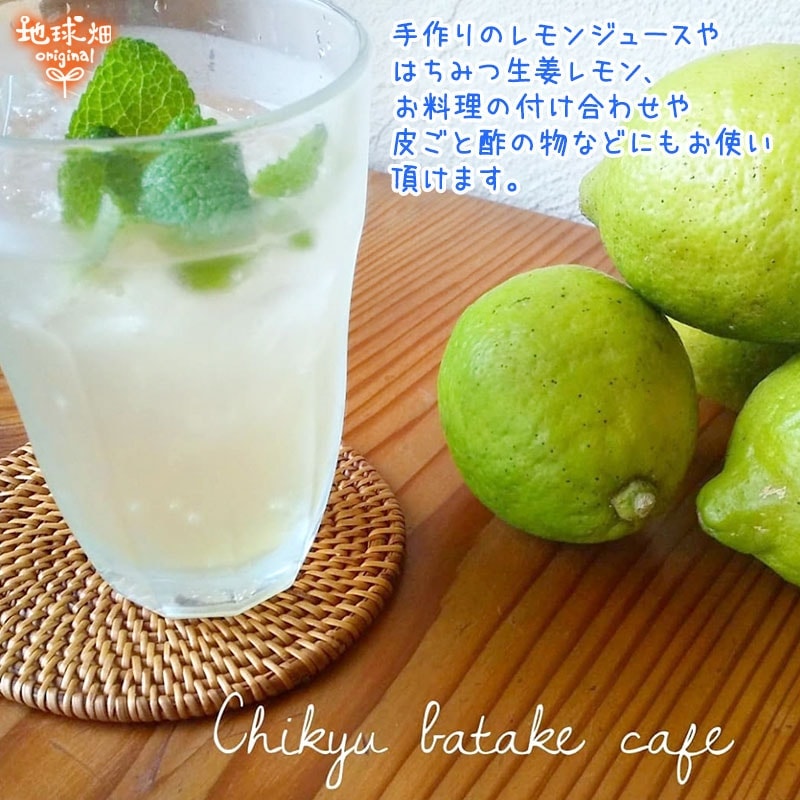 ����(�ꥹ�ܥ�) 9kg �����������Ի��� ȯ������10���1��