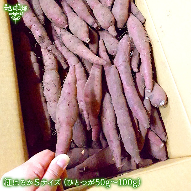 ȤϤ뤫 S (1100g̤) 18kg ȯ93