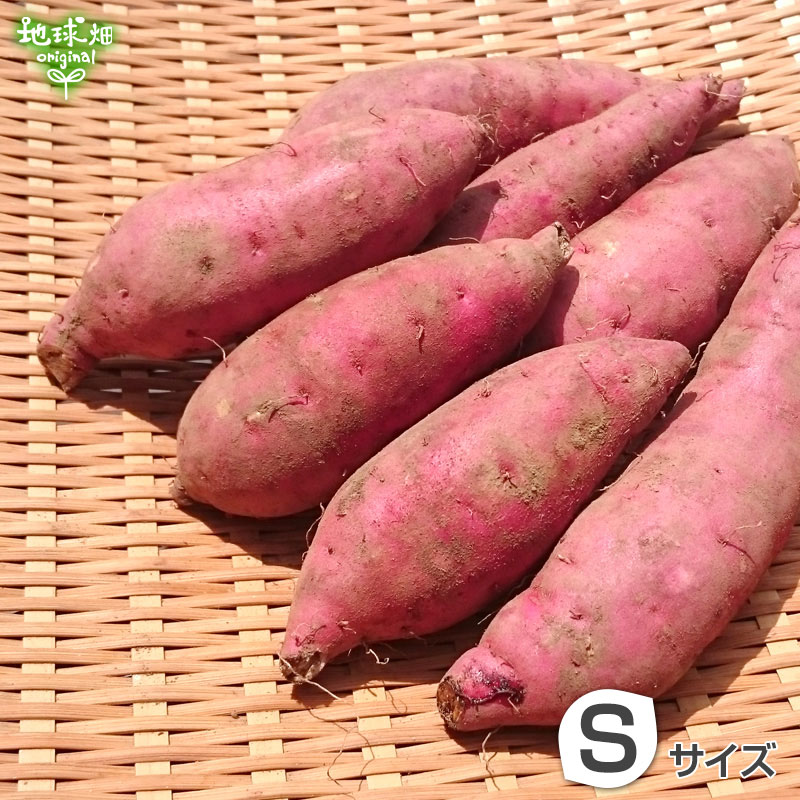 ȤϤ뤫 S (1100g̤) 18kg ȯ93