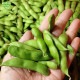 Ĥ鷺 Ʀ 150g50p ¢ ȯ6710