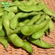 Ĥ鷺 Ʀ 150g50p ¢ ȯ6710