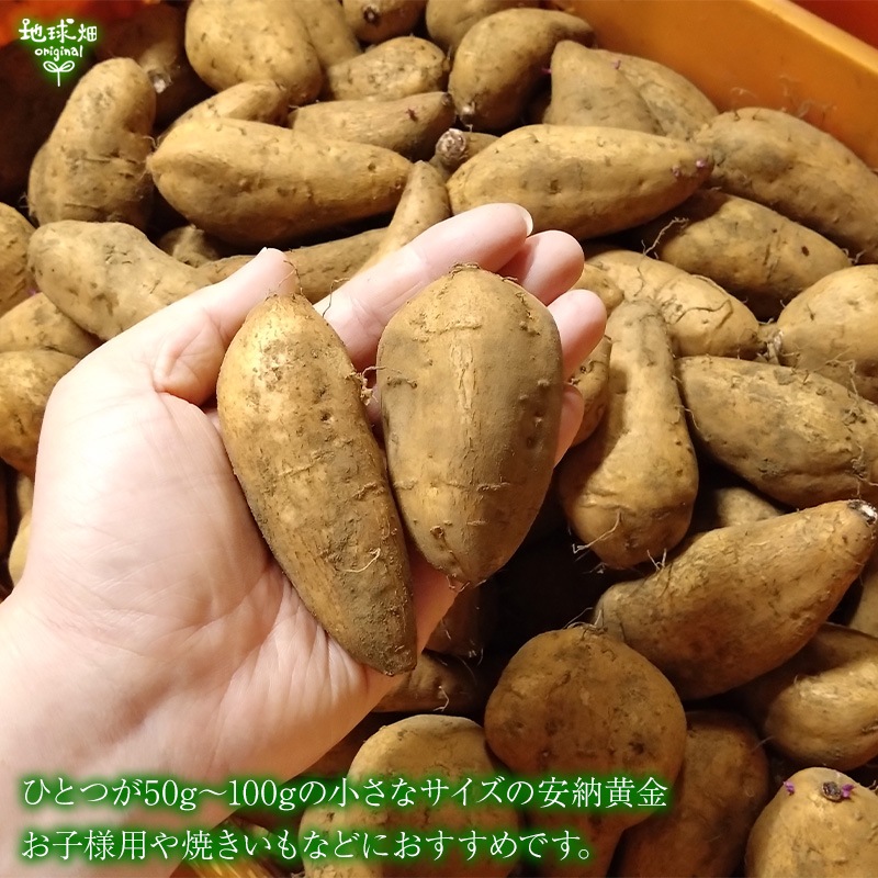 ��Ǽ���� S (1��50��100g) 2kg 2026ǯ��