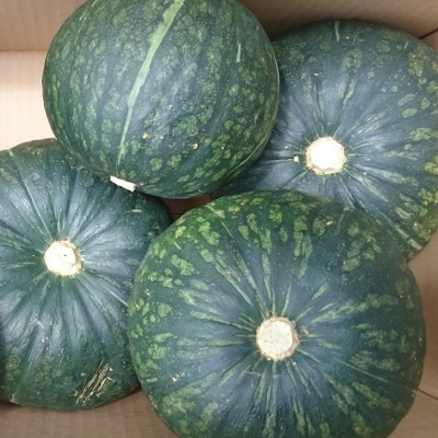 � ���ܤ��� ��5kg (2��5��) �����ʼ� ȯ������6����ܡ�7�11���1��