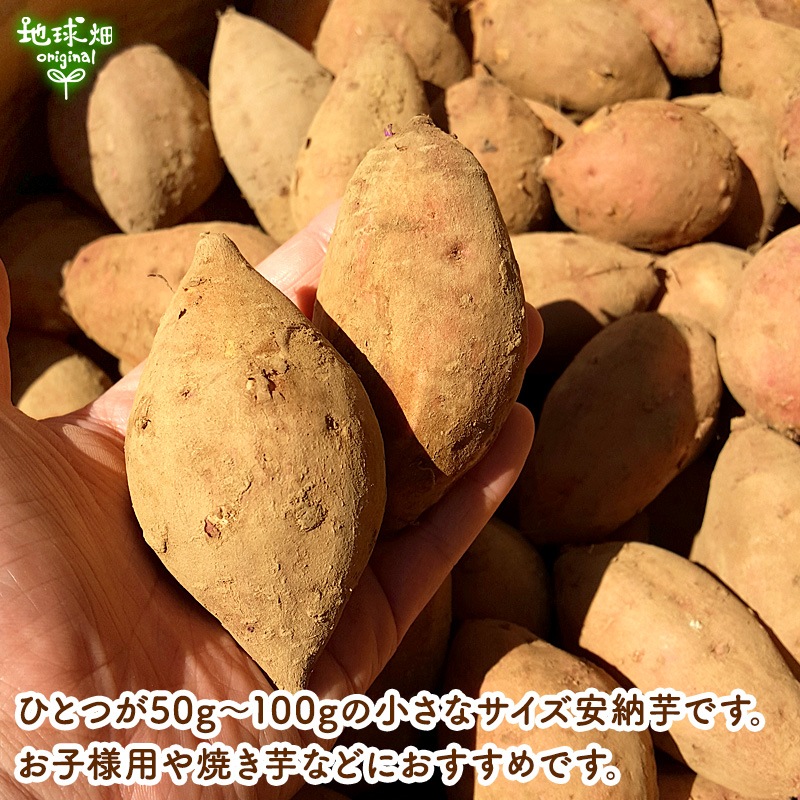 ��Ǽ�� S (1��100g̤��) 2kg 2026ǯ�� ȯ������9���