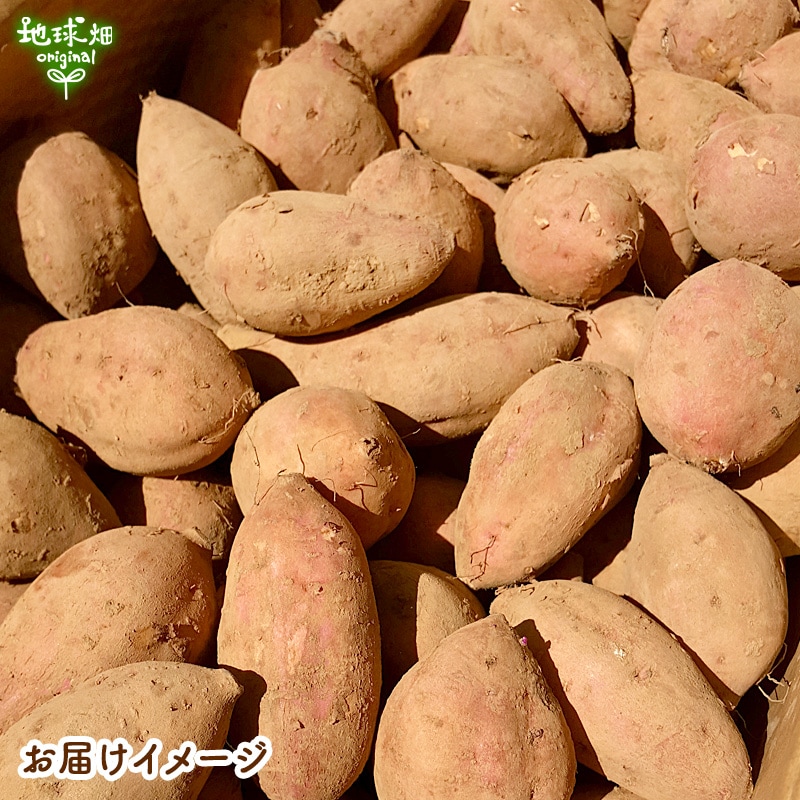 ��Ǽ�� S (1��100g̤��) 2kg 2026ǯ�� ȯ������9���
