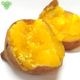 ��Ǽ�� S (1��100g̤��) 2kg 2026ǯ�� ȯ������9���