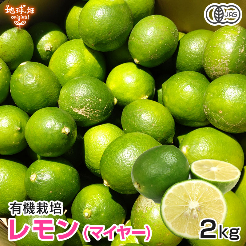 レモン(マイヤー) 2kg 有機栽培 発送期間10月～1月 | くだもの