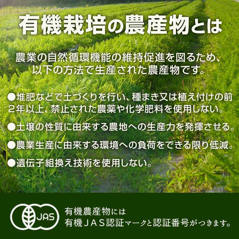 ����(�ޥ��䡼) 2kg ͭ������ ȯ������10���1��