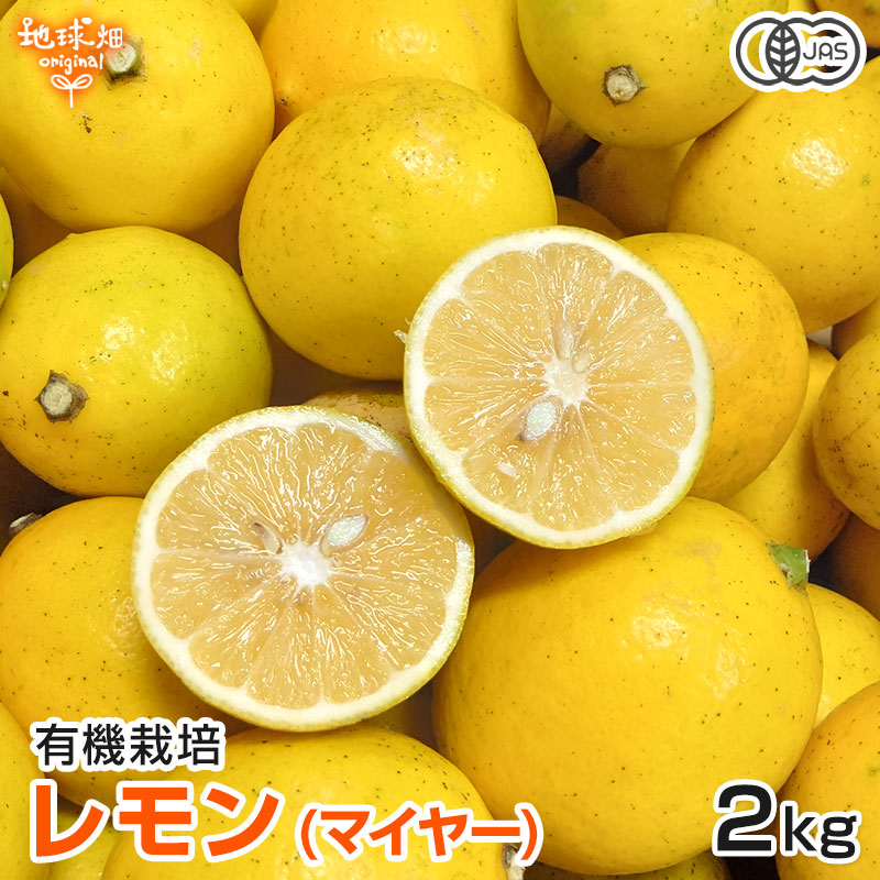 ����(�ޥ��䡼) 2kg ͭ������ ȯ������10���1��