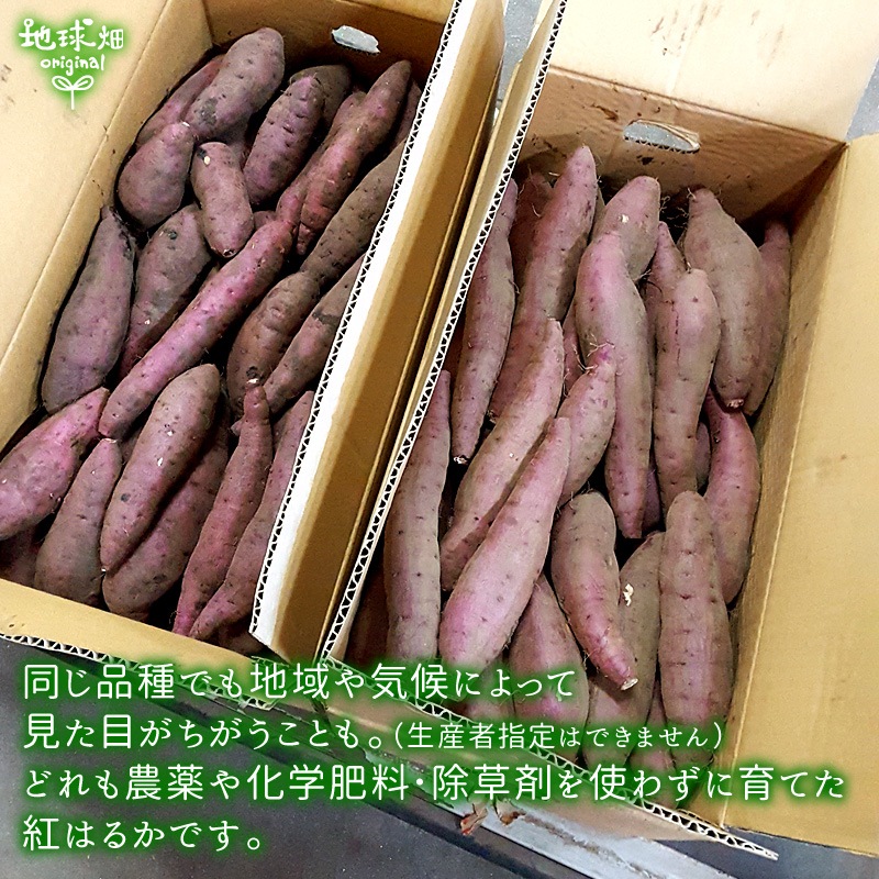 ��ʪ �ȤϤ뤫 600g (1��100��500g) ȯ������8���4�� 2026ǯ��