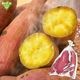 ��ʪ �ȤϤ뤫 600g (1��100��500g) ȯ������8���4�� 2026ǯ��