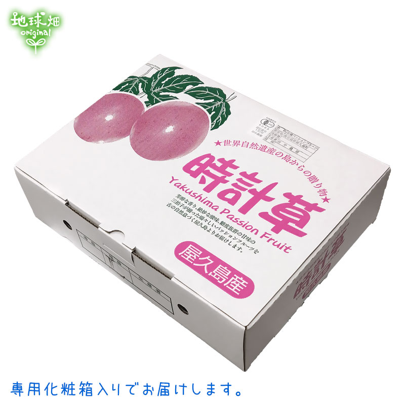 No.3-1 �����硦���椵���ͭ���ѥå����ե롼�� 1.2kg ȯ������7��ܡ�8����