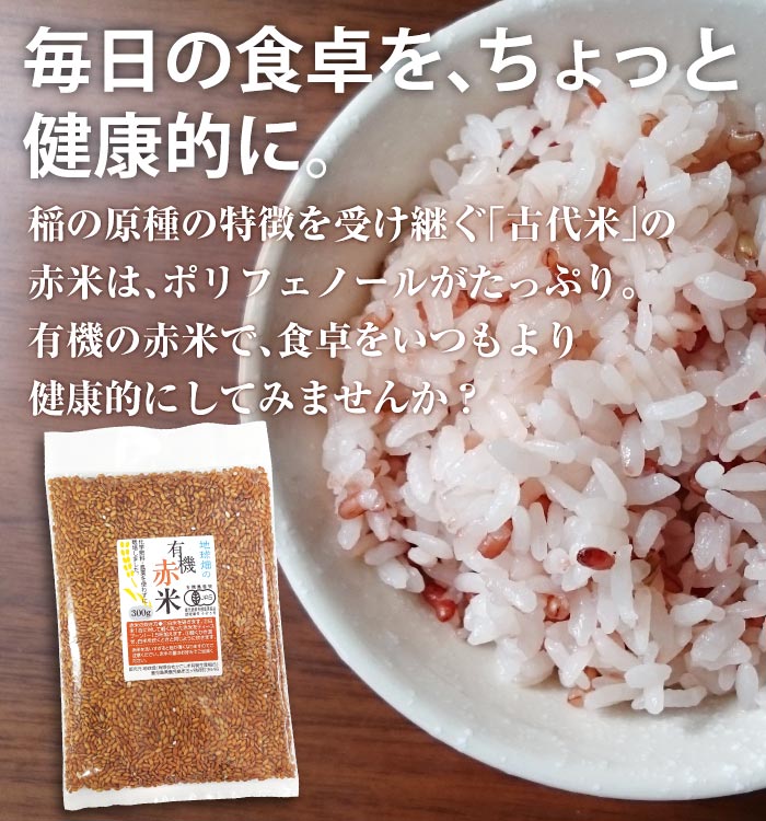 ͭ���Τ���(����) 300g