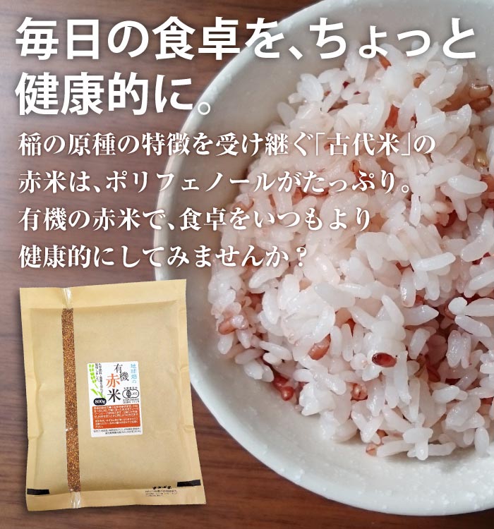 ͭ���Τ���(����) 800g