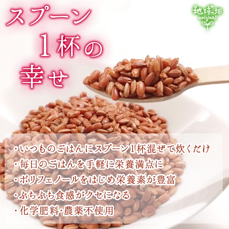 ͭ���Τ���(����) 800g