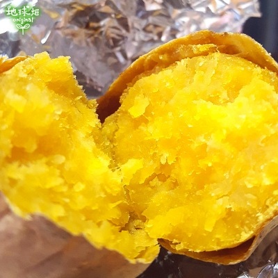 ��Ǽ�� S (1��100g̤��) 18kg ȯ������9���3��