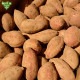 ��Ǽ�� S (1��100g̤��) 18kg ȯ������9���3��