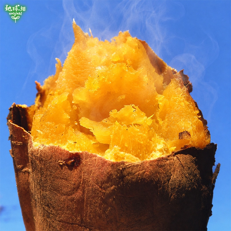 ��Ǽ�Ȱ� ML (1��100��500g) 2kg 2026ǯ�� ȯ������9���