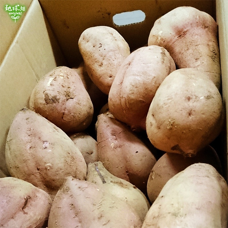 ��Ǽ�Ȱ� ML (1��100��500g) 2kg 2026ǯ�� ȯ������9���