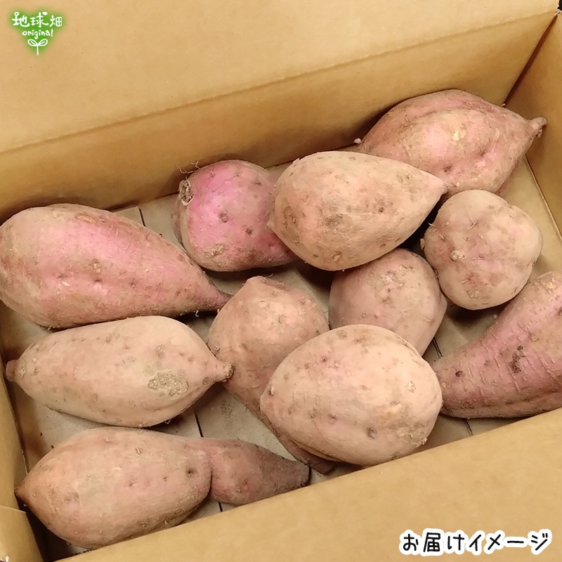 ��Ǽ�Ȱ� ML (1��100��500g) 2kg 2026ǯ�� ȯ������9���