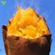 ��Ǽ�Ȱ� ML (1��100��500g) 2kg 2026ǯ�� ȯ������9���