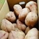 ��Ǽ�Ȱ� ML (1��100��500g) 2kg 2026ǯ�� ȯ������9���
