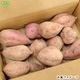 ��Ǽ�Ȱ� ML (1��100��500g) 2kg 2026ǯ�� ȯ������9���