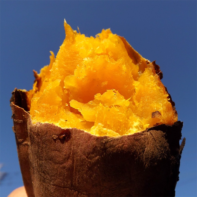 Ǽ ML (1100500g) 4kg ȯ92