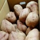 Ǽ ML (1100500g) 4kg ȯ92