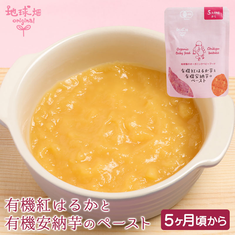 オーガニックベビーフード 野菜ペーストパウチ 6袋ギフトセット