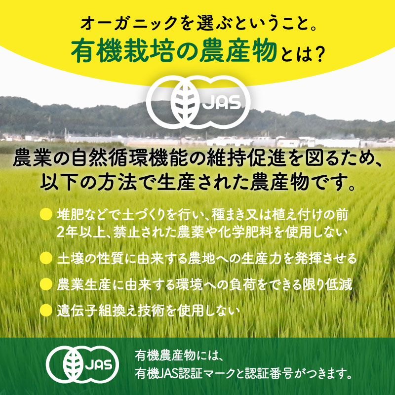 1/29ȯ�� ͭ�������(����) 6kg ���� ������� ����