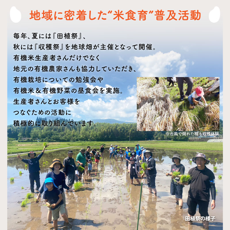 1/29ȯ�� ͭ�������(����) 6kg ���� ������� ����