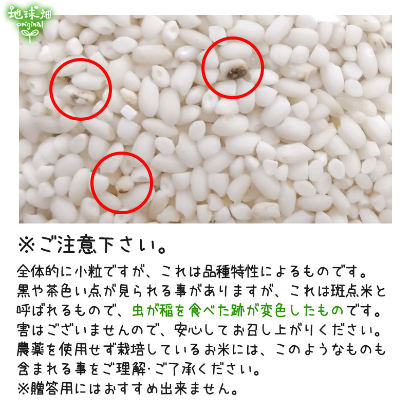 1/29ȯ�� ͭ�������(����) 6kg ���� ������� ����