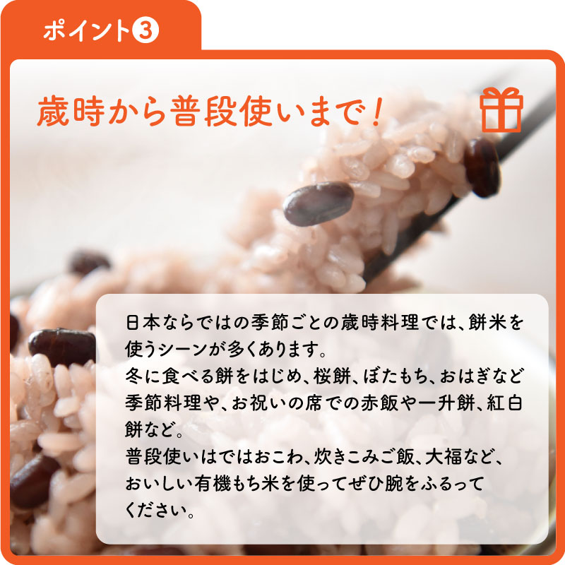 1/29ȯ�� ͭ�������(����) 6kg ���� ������� ����