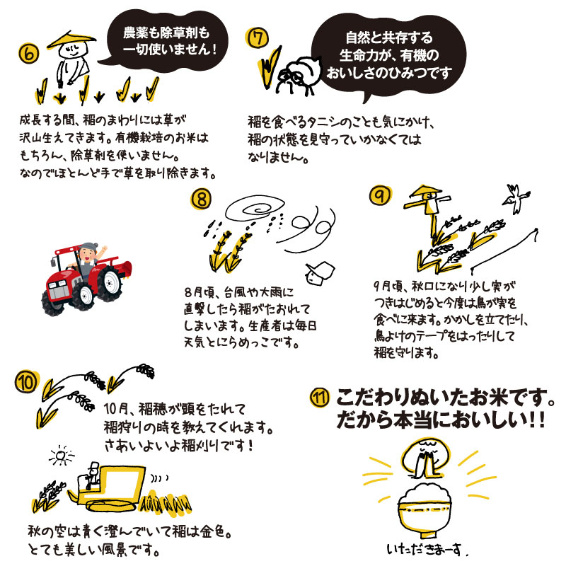 1/29ȯ�� ͭ�������(����) 6kg ���� ������� ����