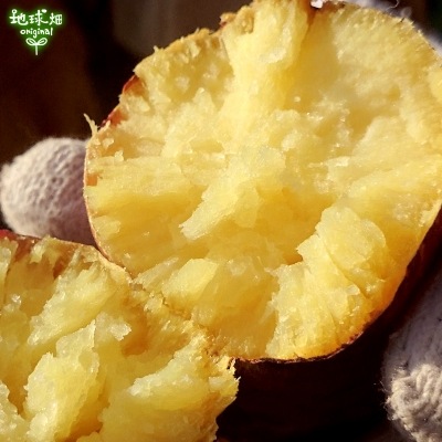 �ȤϤ뤫 ML (1��100��500g) 2kg ȯ������8������4��