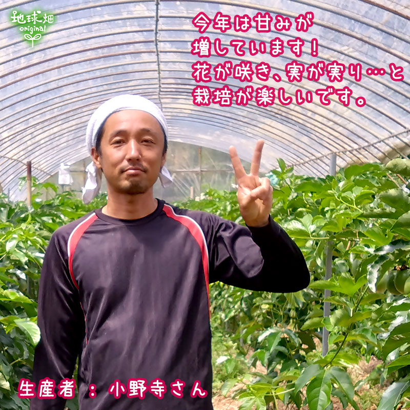 ���䤢�꤬�Ȥ��������ޤ��� No.3-2 ����绺����������ͭ���ѥå����ե롼�� 1kg�ڻ���ľ����