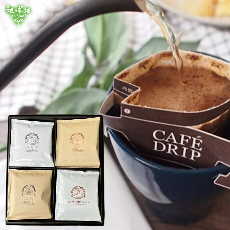 No.12-4 ���θ����������ҡ� �ɥ�åץХå����å�