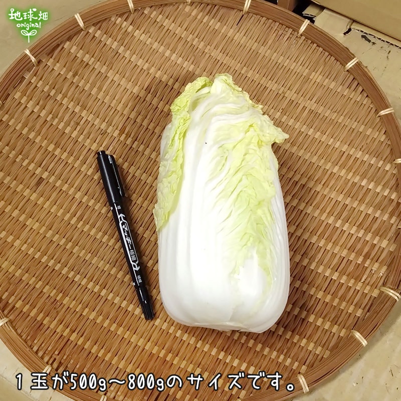 ��� 2S 1�� (500g��800g) ȯ������12��ܡ�