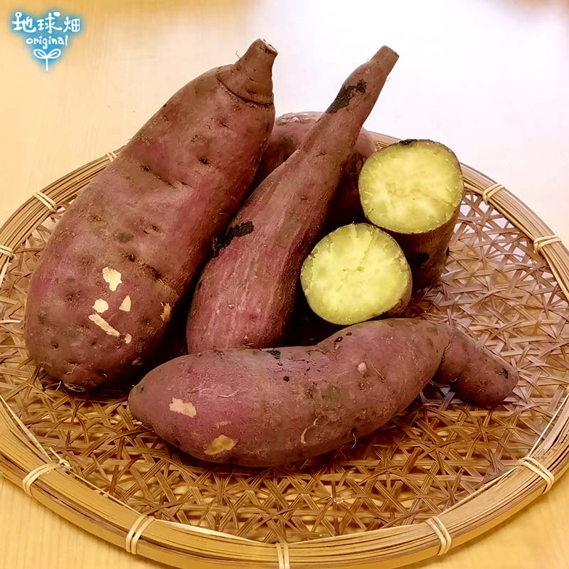 �ȤϤ뤫 ML (1��100��500g) 18kg ȯ������8���3��